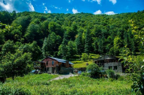Гостиница Korsha Guesthouse  Roshka